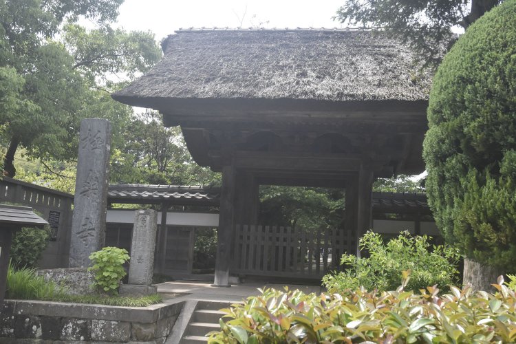立派な山門がひと際目をひく極楽寺。