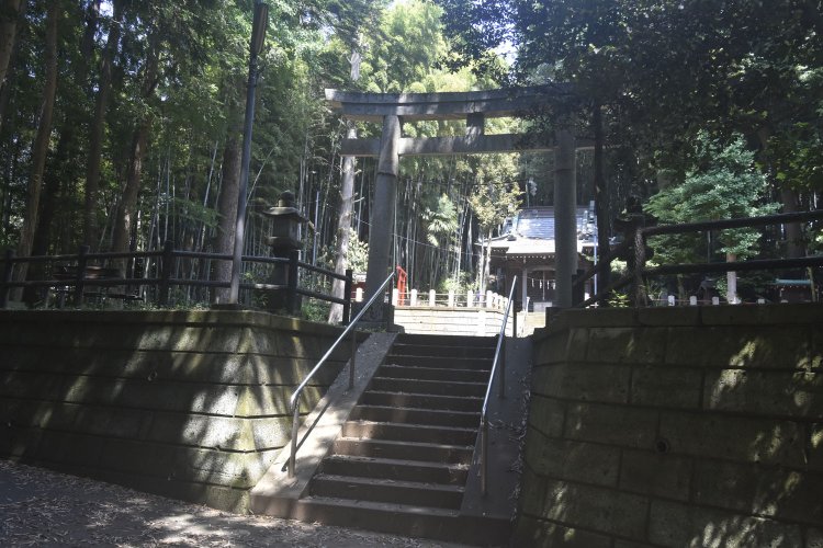 まるで山の奥に足を踏み入れたような佇まいの三嶋神社。