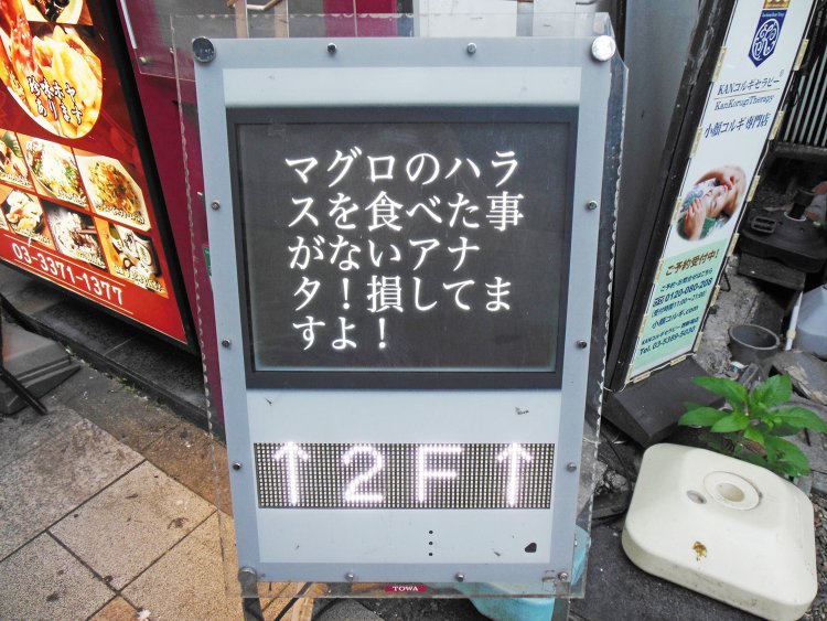 「マグロのハラスを食べた事がないアナタ！　損してますよ！」って言われると、めちゃくちゃ気になる！