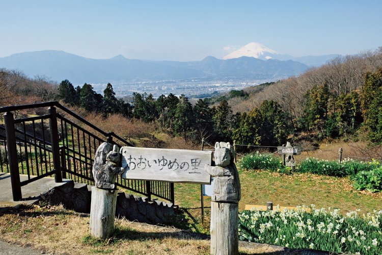 農村公園に絶好の展望所、「おおいゆめの里」がある。金時山、矢倉岳などが見える。