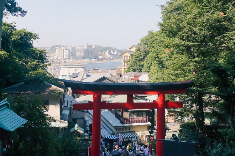 年女、新年に龍を求めて江の島を訪れる｜さんたつ by 散歩の達人