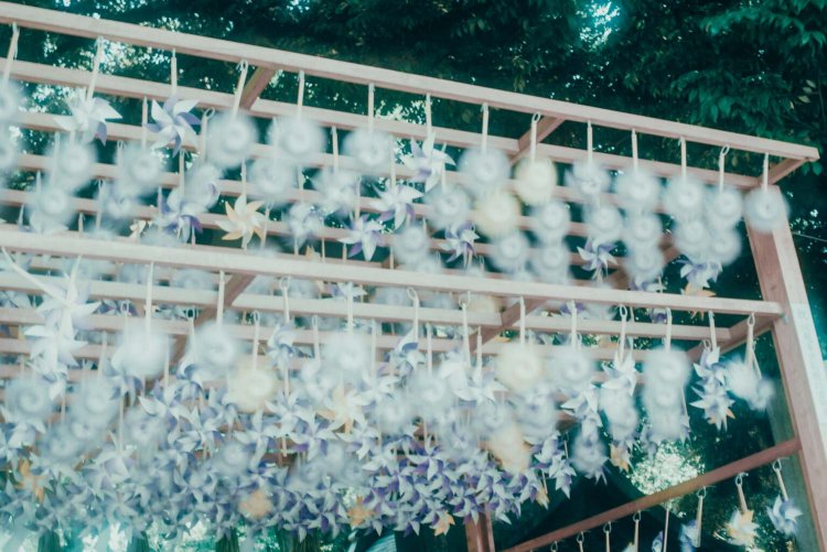 Sony α7RⅢ / CONTAX Planar T*50mm F1.4 MMJ