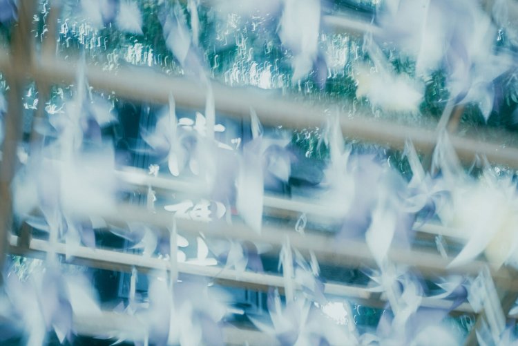 Sony α7RⅢ / CONTAX Planar T*50mm F1.4 MMJ