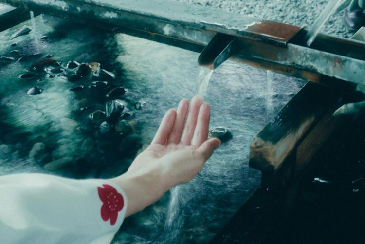 Sony α7RⅢ / CONTAX Planar T*50mm F1.4 MMJ