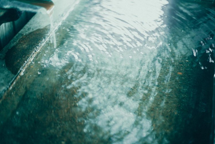 Sony α7RⅢ / CONTAX Planar T*50mm F1.4 MMJ