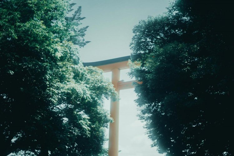 Sony α7RⅢ / CONTAX Planar T*50mm F1.4 MMJ