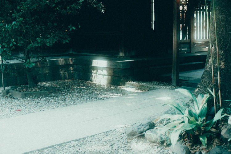 Sony α7RⅢ / CONTAX Planar T*50mm F1.4 MMJ