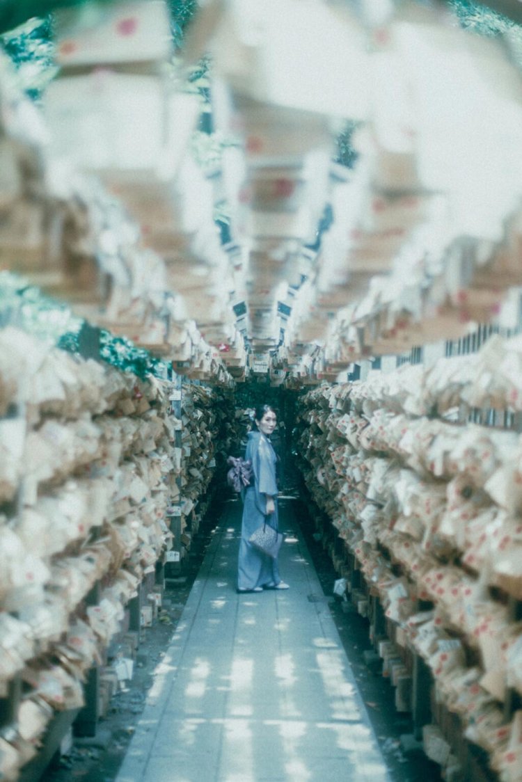 Sony α7RⅢ / CONTAX Planar T*50mm F1.4 MMJ