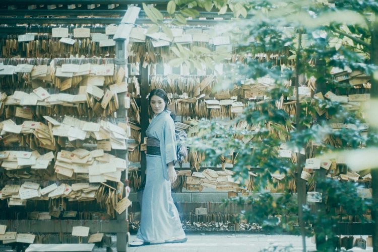 Sony α7RⅢ / CONTAX Planar T*50mm F1.4 MMJ