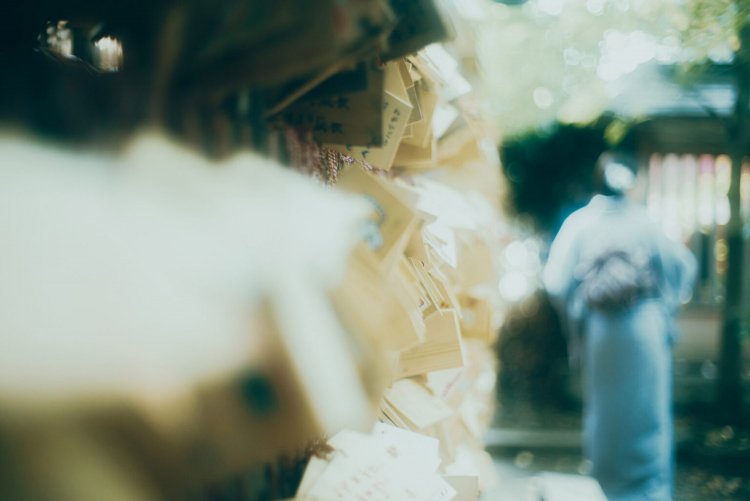 Sony α7RⅢ / CONTAX Planar T*50mm F1.4 MMJ