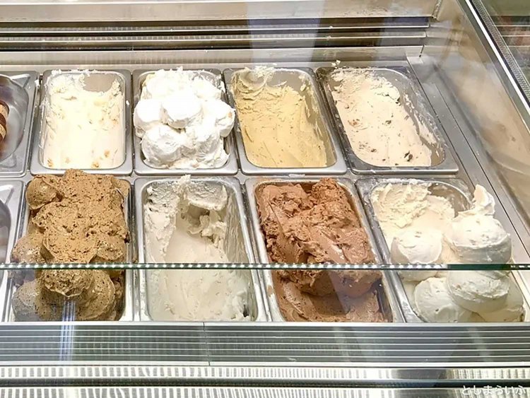 【としまらいふ】ココナッツグレン