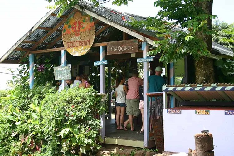 画像提供：株式会社アルファセンセーション