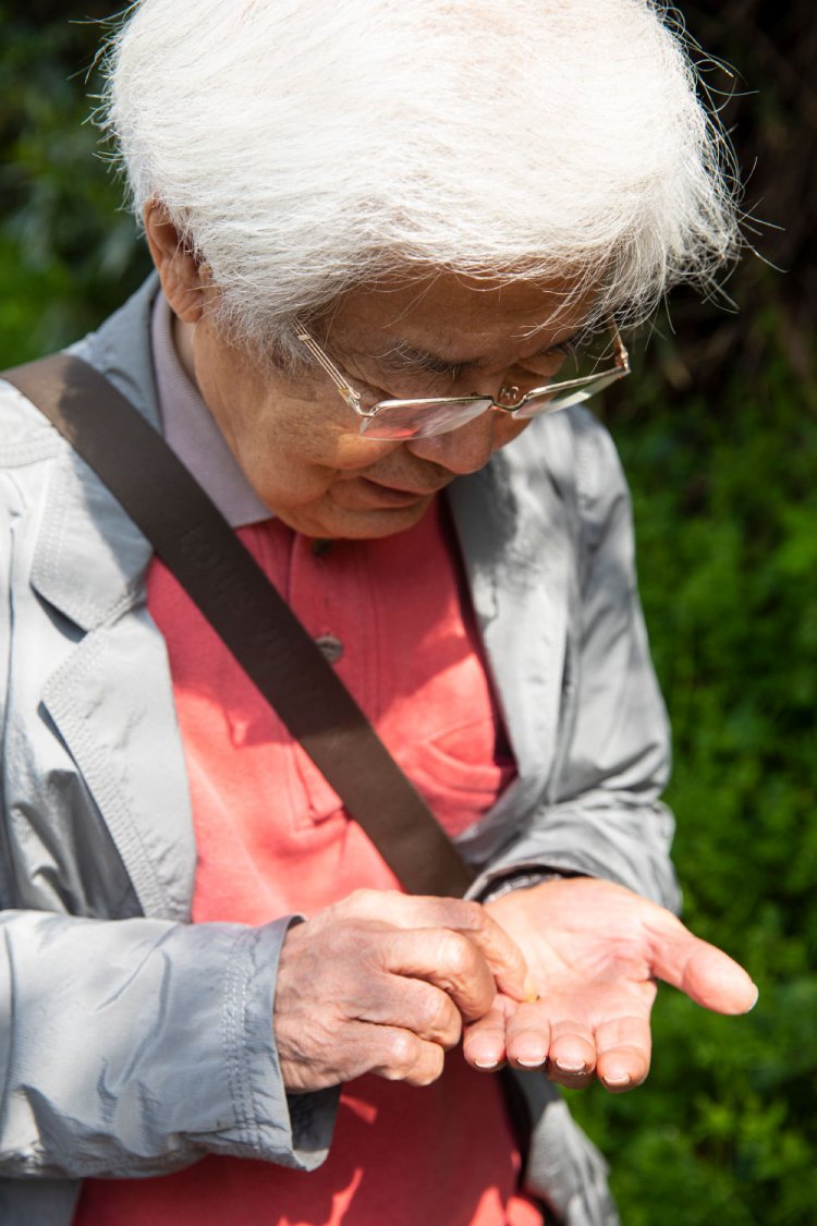手のひらにのせ、「大した虫じゃないな」。
