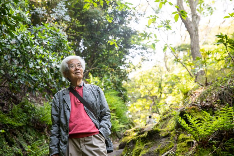 化粧坂切通しから源氏山山頂へ。これからの季節は緑が茂り、虫の種類も数も一番多い。