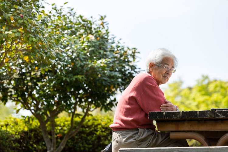 養老先生、「散歩」を語る