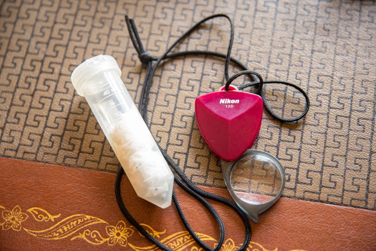 先生の散歩の必需品。Nikonの20倍ルーペと消毒薬が入った“毒瓶”をポケットに入れて。