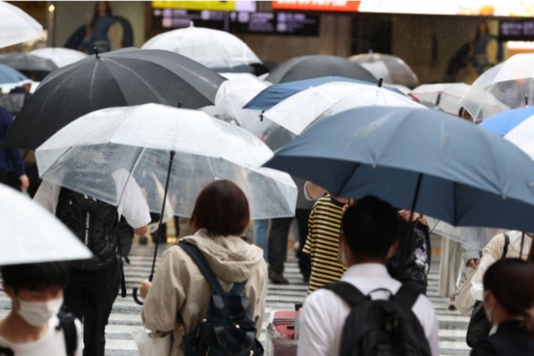 上京して初めて梅雨の辛さを知った私に、父は何も言わなかった