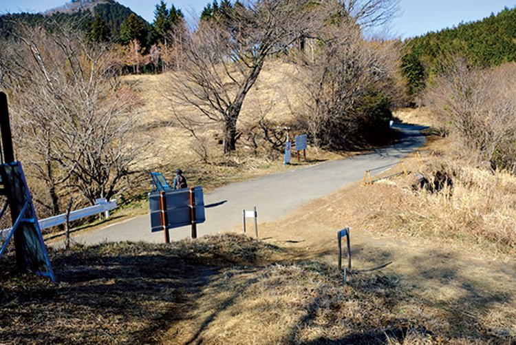 七重峠の林道を横切り先の笠山峠から下る。