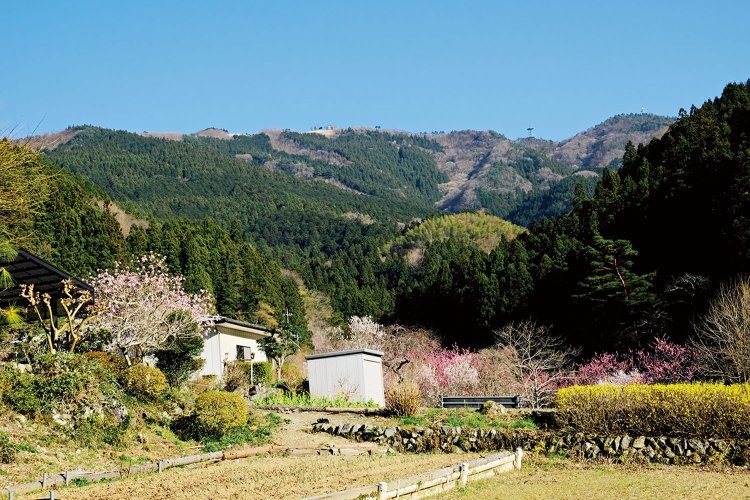 白石車庫のバス停近くから見える堂平山。