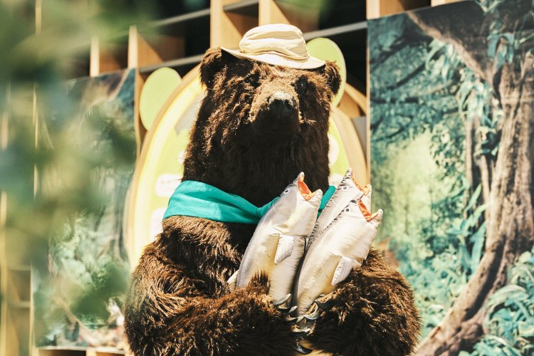 えぞひぐまになりきったOMOレンジャーがレクチャー！