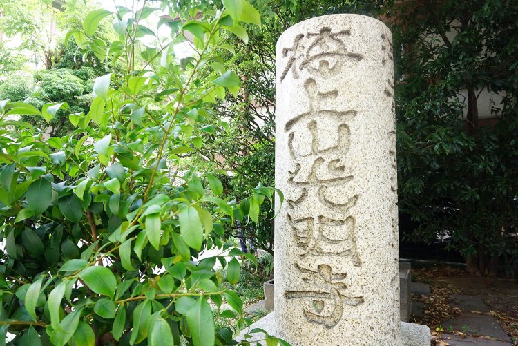 徳川家康が光明寺から献上された紅梅を喜んだことにちなみ、のちに家光が梅上山（ばいじょうざん）という山号を命じた。