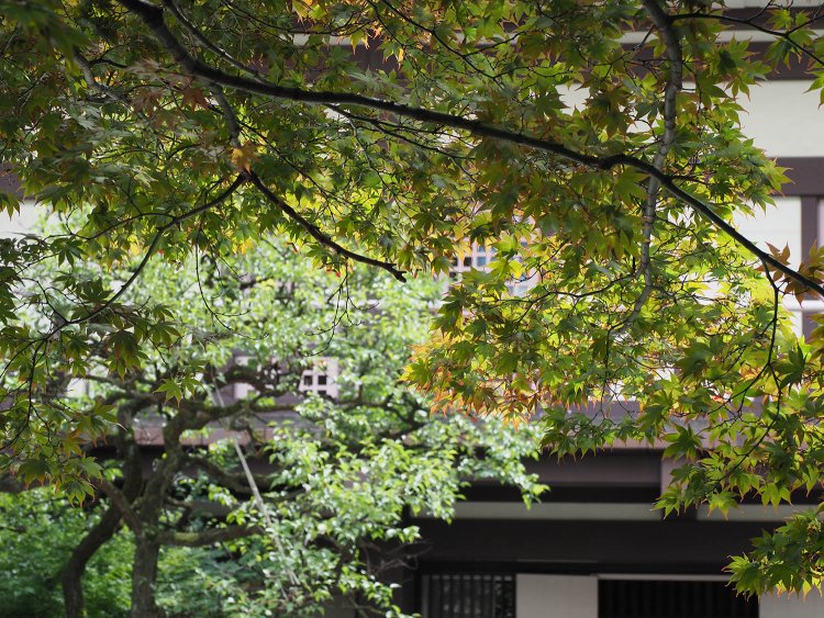 神谷町光明寺境内