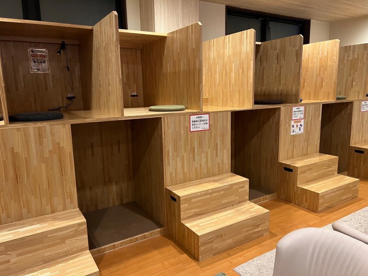 個室感覚のシェルフは落ち着けるサイズ感で人気。