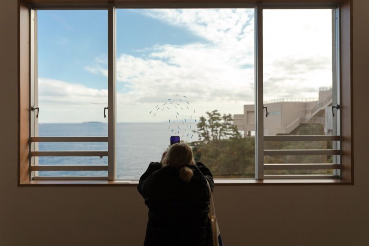 CANON EOS6D / TAMRON 24-70mm F2.8