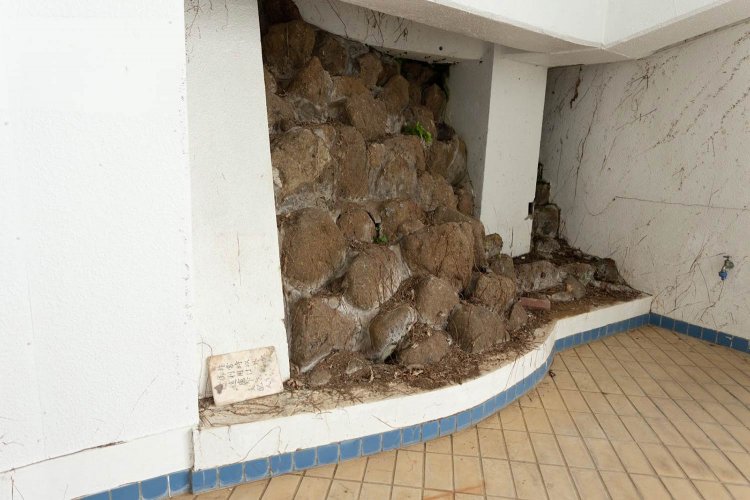 CANON EOS6D / TAMRON 24-70mm F2.8