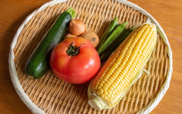 【東京おでんだね】鈴廣に学ぶ夏のおでんと蒲鉾の楽しみ方