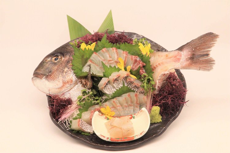 地元小学生が名付けた「式根鯛平君」。