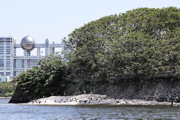 東京ウォータータクシー3