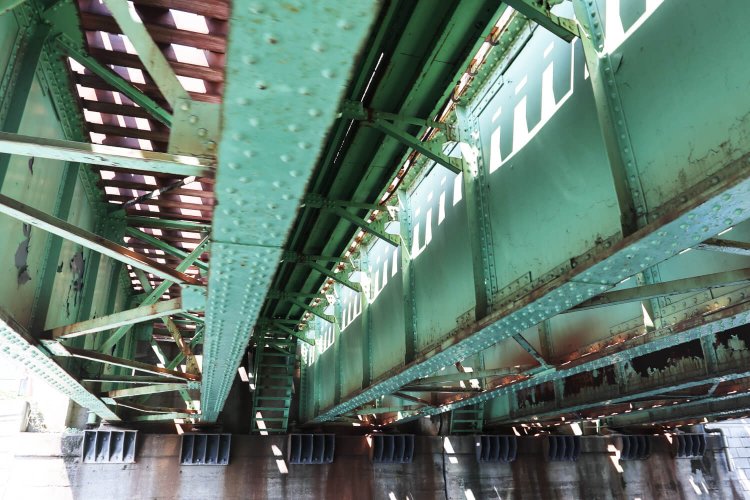 東京ウォータータクシー9