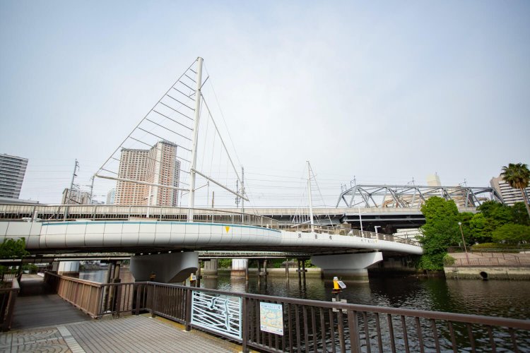 潮の香りが濃くなる浜路橋あたり。