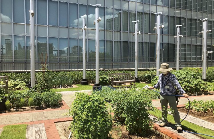 水やりなど農作業をしているスタッフに「気軽に話しかけてほしい」とのこと