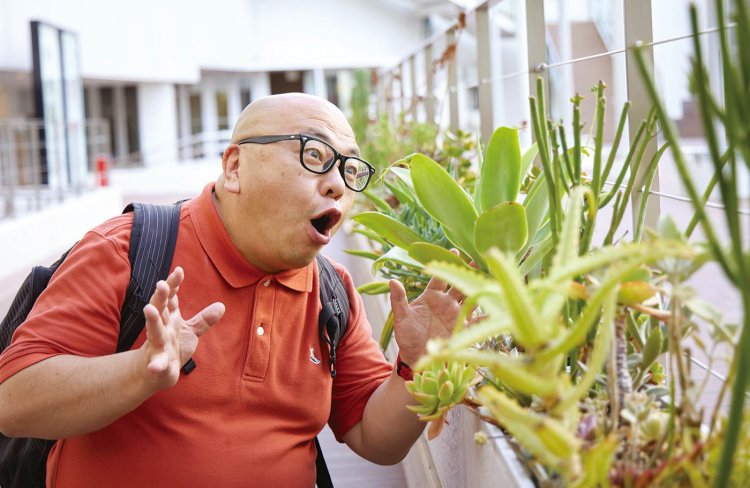 さまざまな形状の多肉植物が一直線に並ぶ様子は圧巻。気分は南国