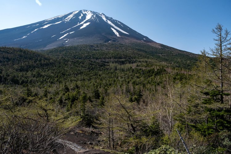 広がりある光景も魅力の奥庭。眼下の朝霧高原や南アルプスを一望できる展望地もある。