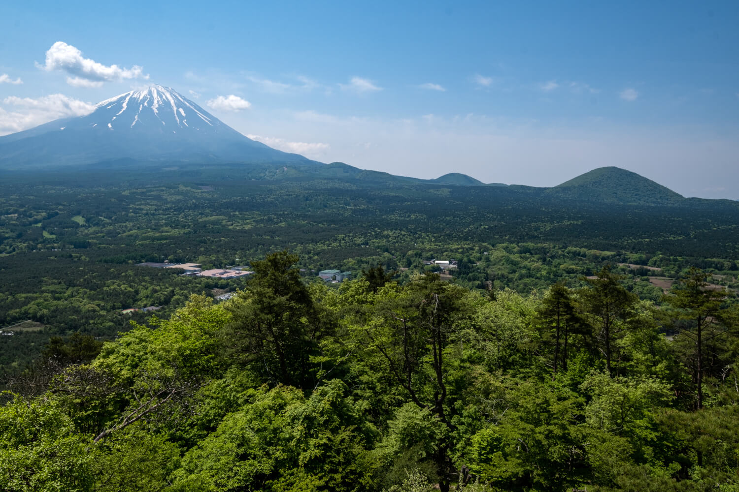 紅葉展望台レストハウス屋上からの眺望。富士山の右すそに側火山跡が並んでいる。