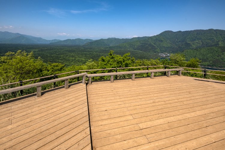 三湖台では青木ヶ原樹海の先に3000ｍ峰の南アルプスを望む。