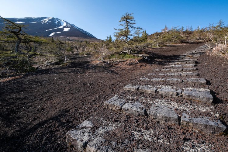 富士山の森林限界に位置する御庭の様子。