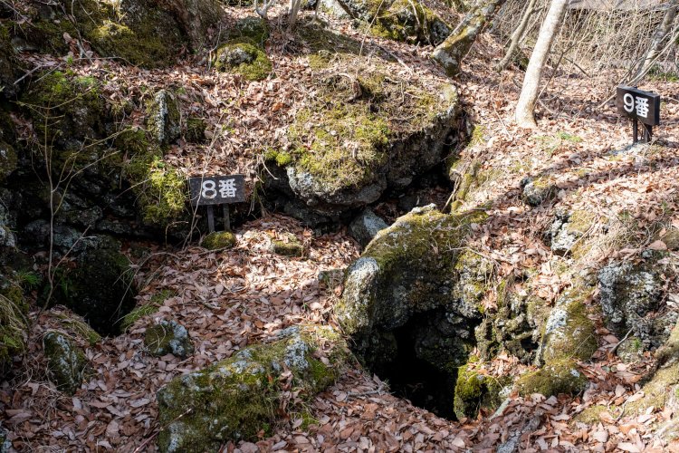 個々の溶岩樹型ごとに番号が振られている。
