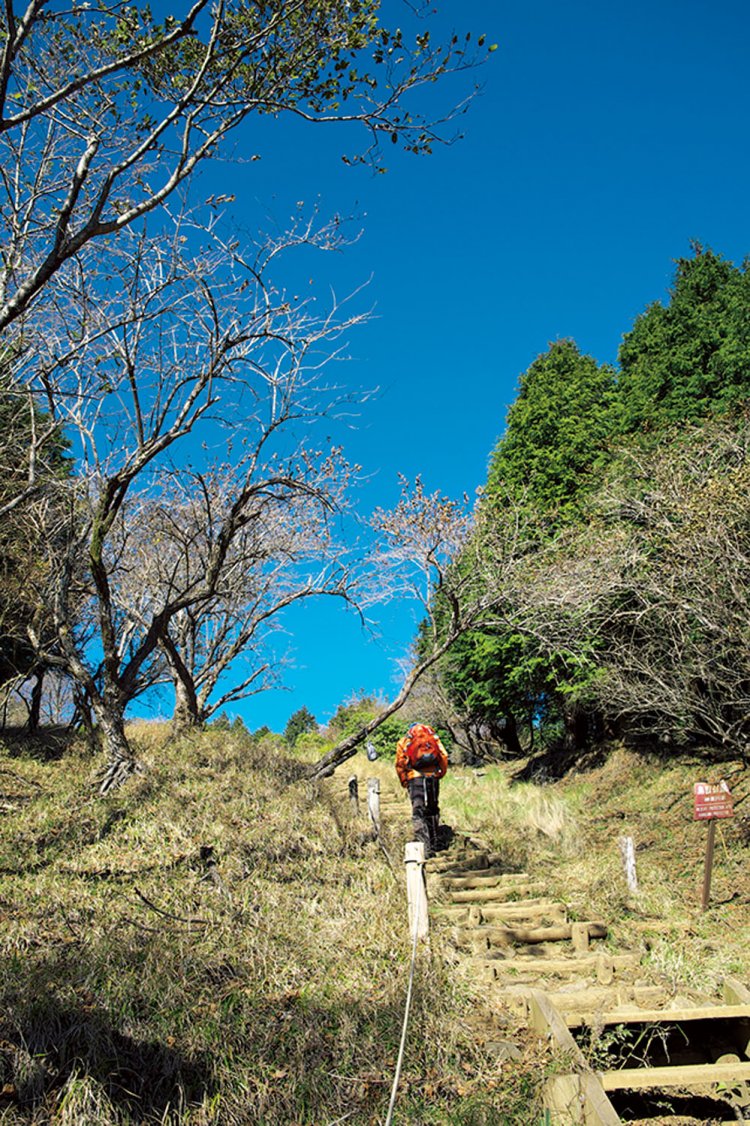 天神尾根分岐を過ぎたあたり。木段が延々と空に向かって続いている。登りきれば花立山荘だ。