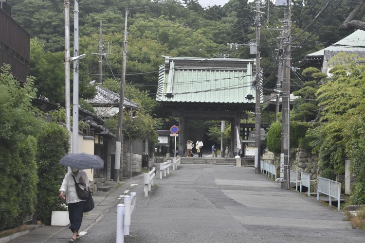 山を背負い、緑が濃いのが印象的。