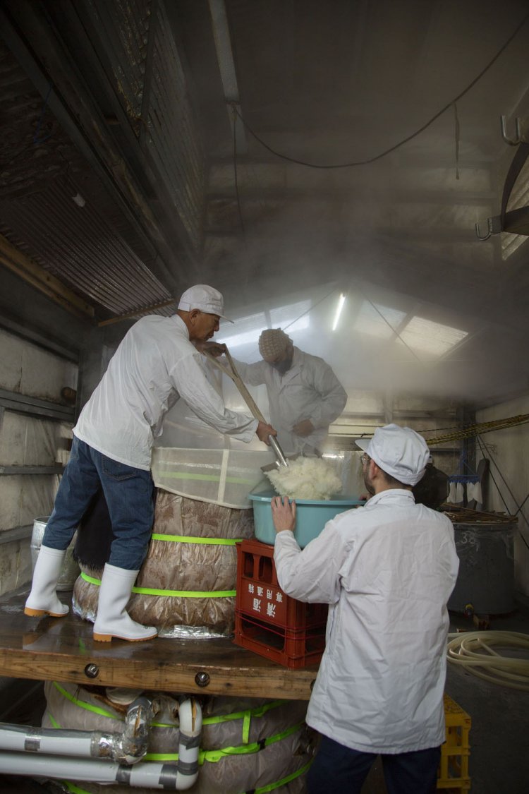 この日は雄町米を蒸し、麴室へ。