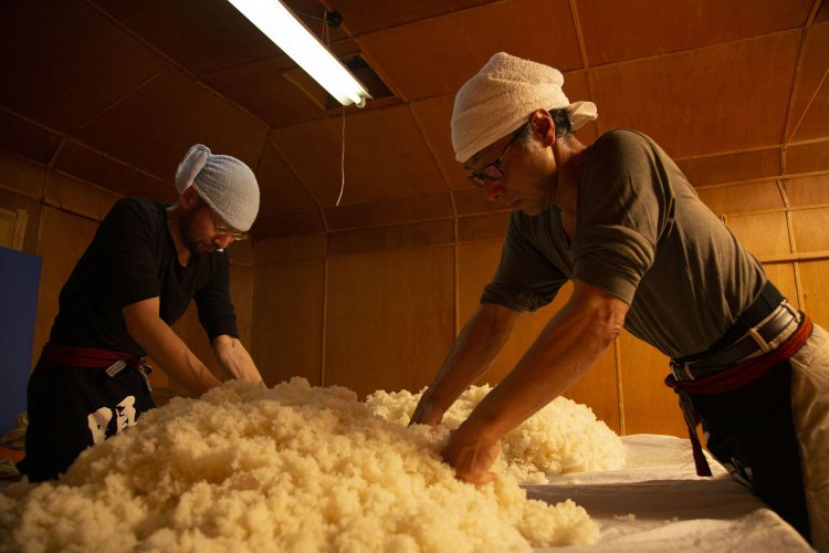 種麹が均一に行き渡るよう麹室で“ならし”を行う。
