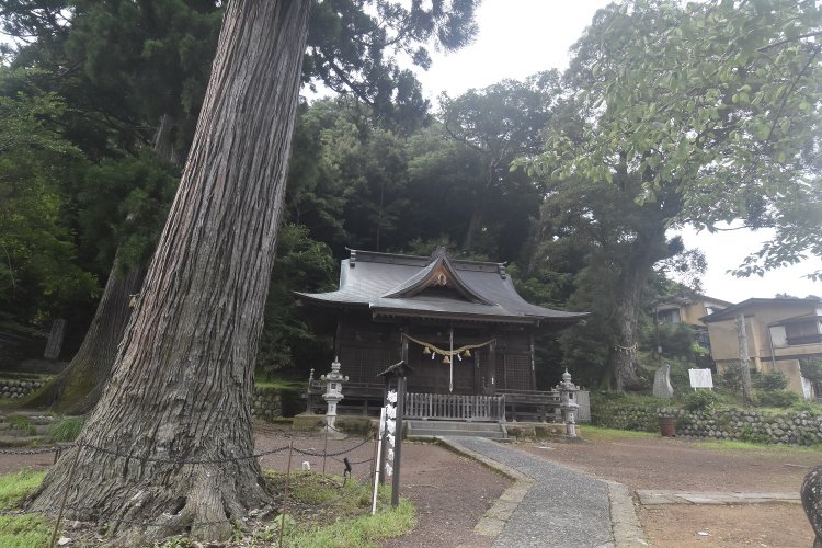境内には大木が並び荘厳な雰囲気に包まれている。