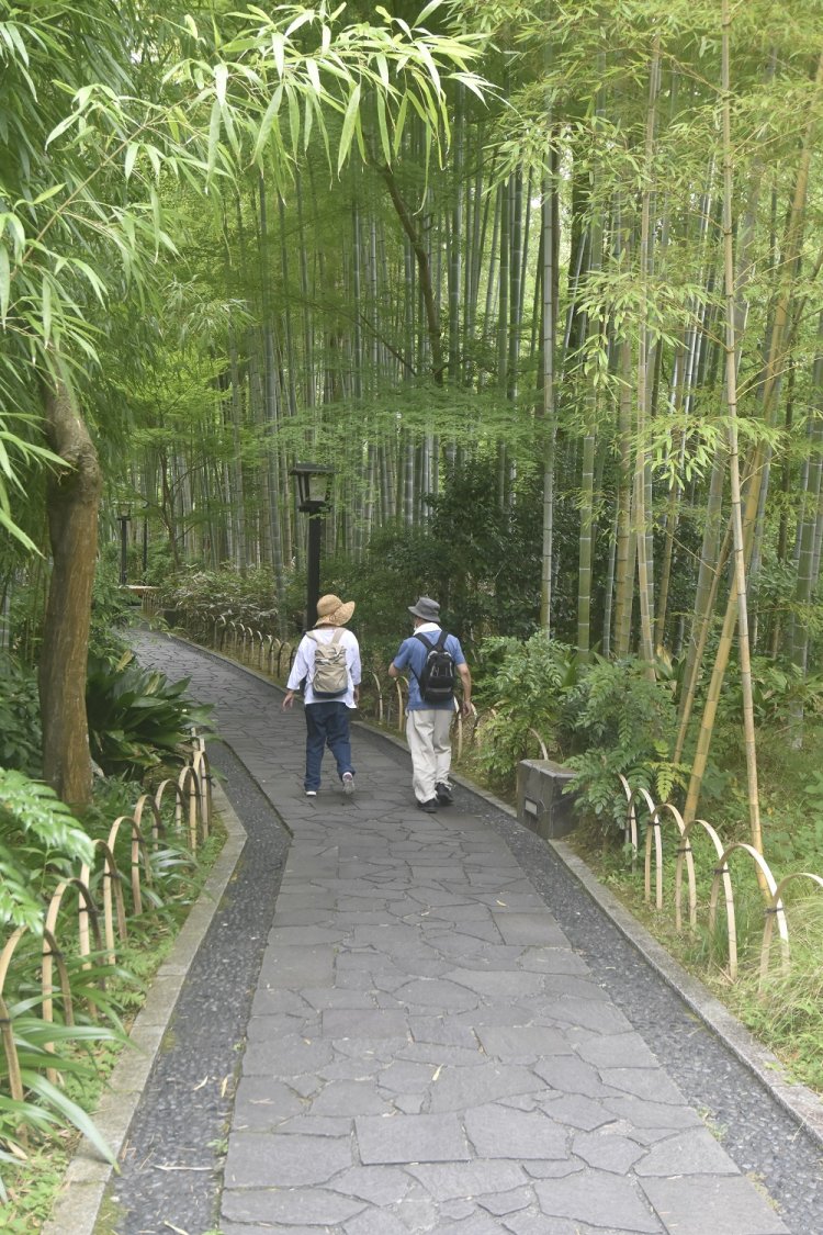 散策に人気スポット、竹林の小径。