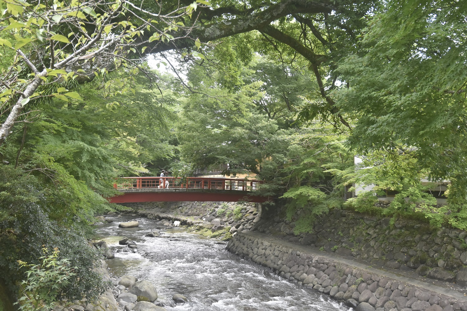 桂川に架かる桂橋は、紅葉の名所としても知られる。