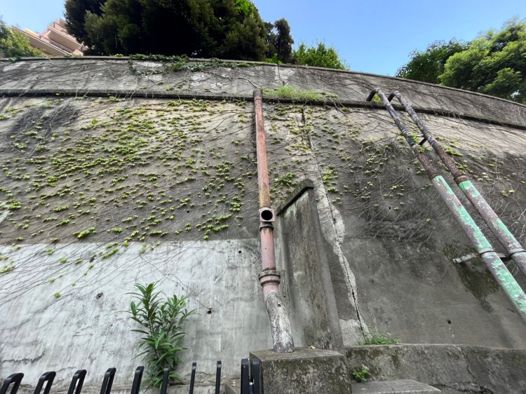 おおっ！！！　けっこう迫力がある擁壁。草が生えてる。