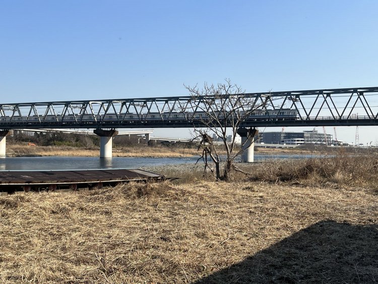 相模橋付近の河川敷。鉄橋を渡る小田急線の電車も間近に見える。